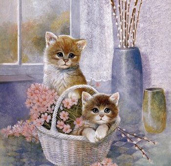 Flower Basket with Cats Fashion