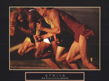 Strive - Race Online Hot Sale