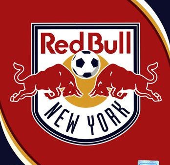 2011 New York Red Bulls Team Logo Online now