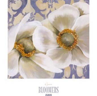 Bloomers IV For Discount