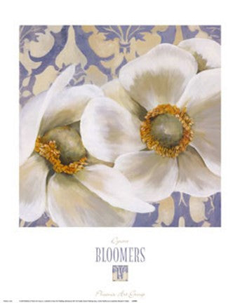 Bloomers IV For Discount