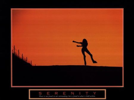 Serenity - Rollerblader Online Hot Sale