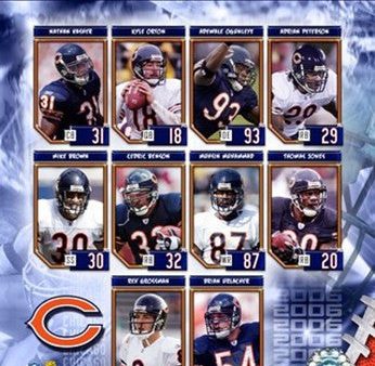 2006 - Bears Team Composite Supply