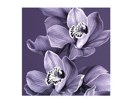 Mauve Orchid #2 Hot on Sale