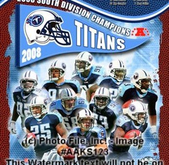 2008 Tennessee Titans AFC South Division Champs For Sale