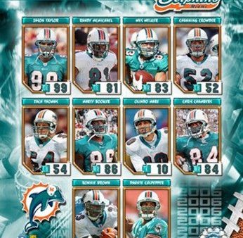 2006 - Dolphins Team Composite on Sale