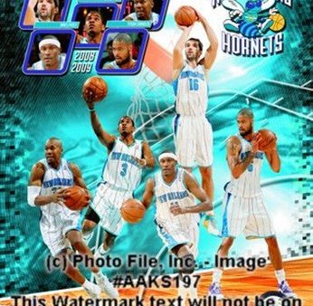 2008-09 New Orleans Hornets Team Composite Fashion