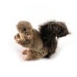 All For Paws Classic Squirrel Plush Dog Toy Online Hot Sale