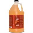 Bark 2 Basics Honey & Almond Shampoo 1 Gallon Cheap